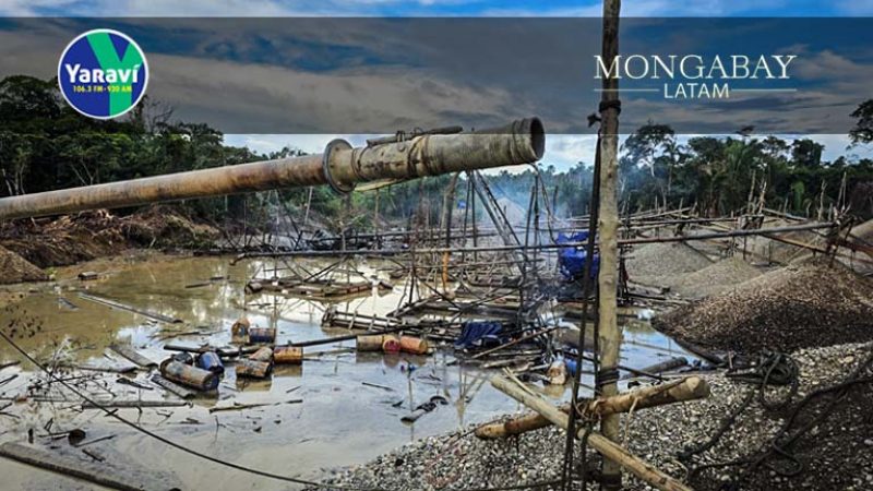 La Pampa - Así funciona el sistema de extorsiones, amenazas y asesinatos que devasta los bosques - Radio Yaraví.jpg