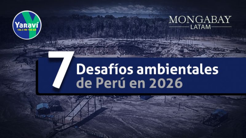 Siete desafíos ambientales - Radio Yaraví
