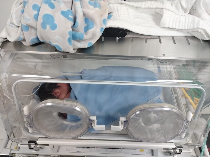 WhatsApp Image 2026-02-17 at 11.20.39 AM