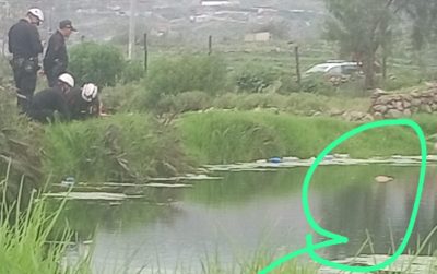 WhatsApp Image 2026-02-17 at 17.24.31